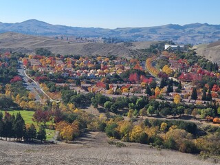 Fall colors along Crow Canyon Road in San Ramon, California