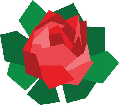 Rose flower vector image