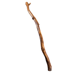 walking stick isolated on transparent background,transparency 
