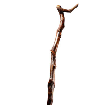walking stick isolated on transparent background,transparency 