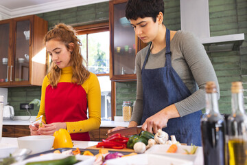 Focused biracial lesbian couple peeling and chopping vegetables in kitchen