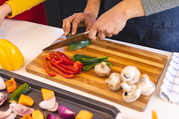 Midsection of biracial lesbian couple preparing food, chopping vegetables in kitchen