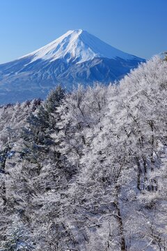 Fog and ice on Mt. Fuji seen from Mitsutoge , Japan,Yamanashi Prefecture,Minamitsuru District, Yamanashi,Fujikawaguchiko, Yamanashi,Nishikatsura, Yamanashi,Tsuru, Yamanashi January 2015