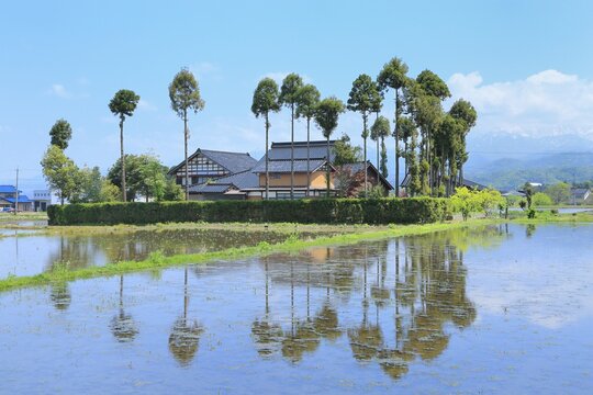 Scenery of Scattering Village surrounded by house forest Toyama Prefecture , Japan