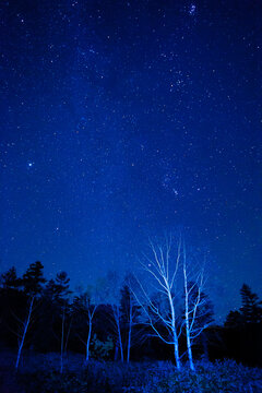 Starry sky of Shigakogen Highlands , Japan,Nagano Prefecture October 2013