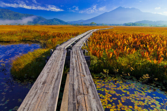 Boardwalk going to Mt. Hiuchigatake, Katashina, Gunma,Tone District, Gunma,Gunma prefecture,Japan September 2011