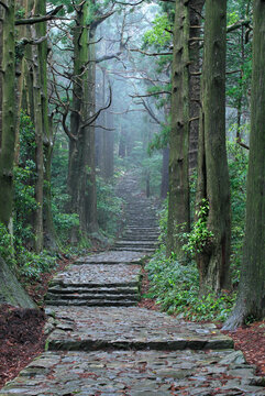 Kumano Nachi mountain daimon slope , Nachisan,Nachikatsuura, Wakayama,Higashimuro District, Wakayama,Wakayama Prefecture,Japan June 2011