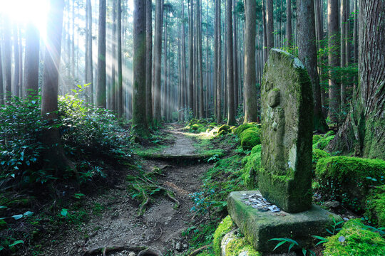 Jizo and shaft of light Kumano Kodo , Shingu, Wakayama,Wakayama Prefecture,Japan September 2013