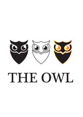 Owls 