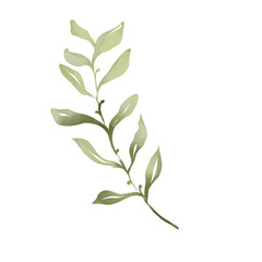 Watercolor illustration of green branch with leaves