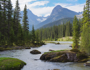 An expanse of evergreen trees, a flowing river, moss-covered rocks, and distant mountain peaks form a calm outdoor scene.