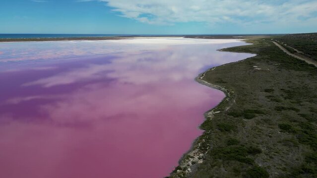 Reverse Dolly aerial view of the banks of Hutt Lagoon Pink Lake in Western Australia, near Kalbarri. Clouds reflected on lake surface, Indian Ocean visible in background with blue sky and few clouds.