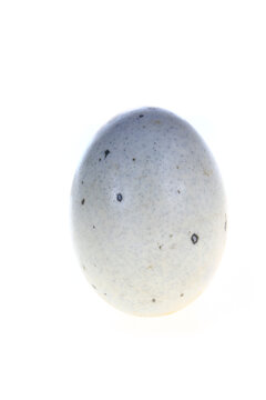 Eggs, duck egg, preserved egg on a white background