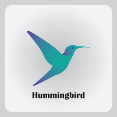 Hummingbird logo design with blue gradient color