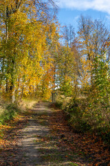 Herbstwanderung im Naturpark Zittauer Gebirge 3