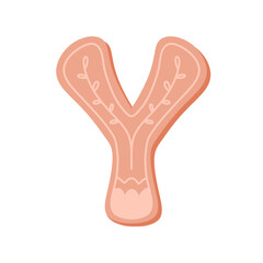 Letter Y Alphabet ginger bread cookie pink christmas vintage retro groovy doodle font