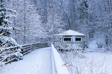 Wooden house in winter forest covered with snow. Winter landscape.