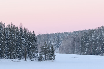 snowy landscape with trees and a pink sky
