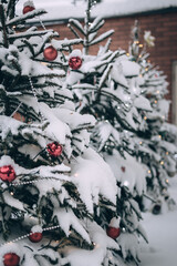 beautiful snow Christmas trees with red balls