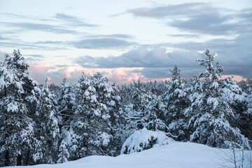beautiful winter landscape with snow covered trees in the mountains.
