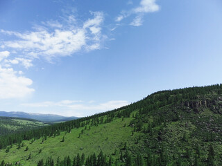 Aerial view of a green mountain landscape sprawling beautiful coniferous forest. 