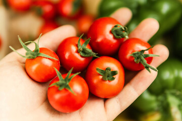 Close-up of a woman's hands holding organic cherry tomatoes