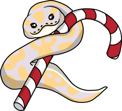 Ball python snake christmas clipart