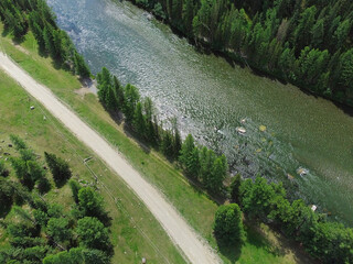Aerial view of a green mountain landscape and alpine meadows where a river flows from the mountains and a beautiful coniferous forest stretches.