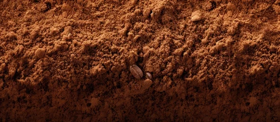  Coffee grounds up close with a textured food backdrop Copy space image Place for adding text or design © Ilgun