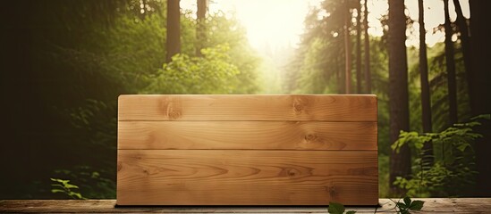 Forest background with a real wooden sign Copy space image Place for adding text or design