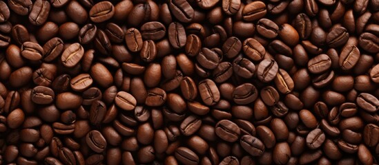 Fototapeta premium Coffee beans can be used for background and texture Copy space image Place for adding text or design