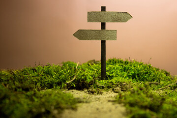 Blank wooden signpost on green moss background with copy space.