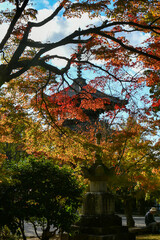 京都 真如堂の三重塔と紅葉