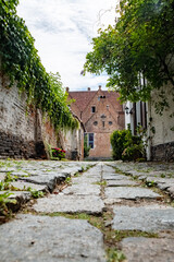 Fototapeta na wymiar This serene image captures an empty cobblestone street in Mechelen's Groot Begijnhof. The quiet laneway, lined with historic architecture, offers a glimpse into the medieval charm of this Flemish city