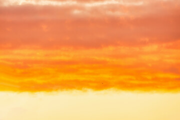 Obraz premium Stunning coastal landscape along California's Highway 1, featuring rugged rocky formations, and the vast blue ocean. A breathtaking natural scene showcasing the raw beauty of the Pacific coastline