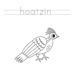 Trace the letters and color cartoon hoatzin bird. Handwriting practice for kids.
