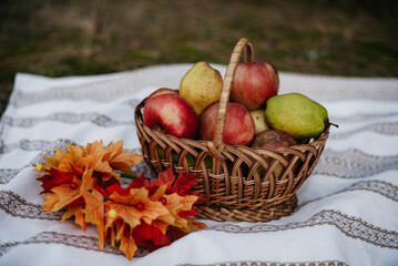 Autumn picnic with a basket of fruits