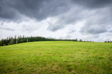champs d'herbe et ligne de sapins sur le haut avec des nuages sombres