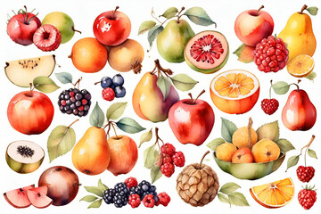 Watercolor painted collection of fruits