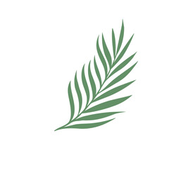 flower and tropical leave vector set