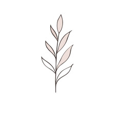 flower and tropical leave vector set