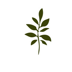 flower and tropical leave vector set