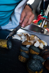 Female mushroom foraging picking mushrooms in Norway