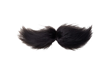 Black moustache isolated on transparent background.