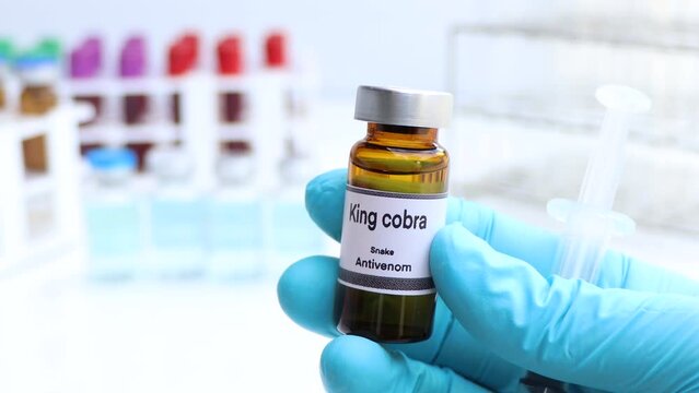 king cobra, Snake antivenoms in a vial, Serum for injection to prevent venom from snake bites, laboratory background 