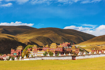 Natural beauty of temples, grasslands and pastures in Xizang Autonomous Region of China 