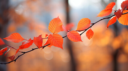 Beautiful red leaves on a branch