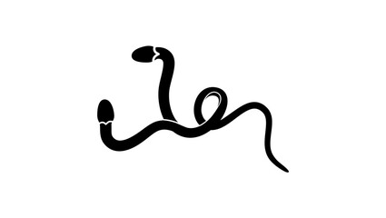 Double headed snake, black isolated silhouette