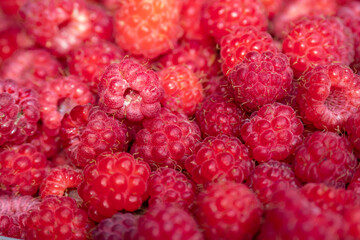 Wild Raspberries foraged in Scandinavia  
