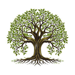 Tree with Roots Isolated on Transparent or White Background, PNG